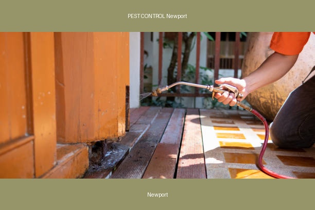 PEST CONTROL Newport